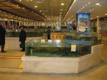 15 live fish tanks